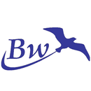 BRAINWAY STAY APK