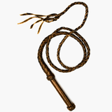 The Whip Sound App أيقونة