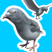 Pigeon Jump - Springspiel