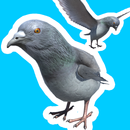 Pigeon Jump - Springspiel APK