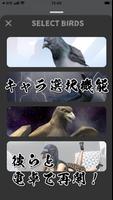 ハト電卓 Plakat