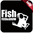 guide for fish feed and grow
