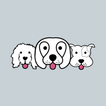 Fetch Fido