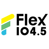 Flex Station APK