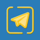 Reddito di Cittadinanza Chat APK