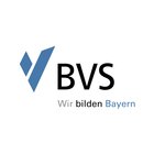 BVS-icoon