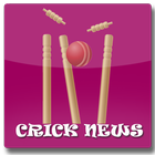 Cricket News Pink icône