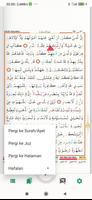 Hasenat Quran Recitation screenshot 1