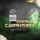 APK RDC Radio Divino Carpinteiro