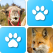 Pairs: Animals simgesi