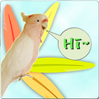 parrot sound effects icon