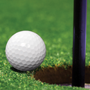 Minigolf Aces APK