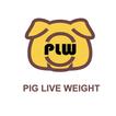 PLW(Beta) icon