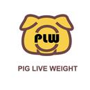 PLW(Beta) APK
