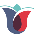 Istanbul American Schools (IAS) أيقونة
