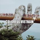 Colorful Vietnam icon