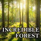 Incredible Forest أيقونة