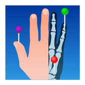 e-Anatomy v4.2 (Premium) (Unlocked) (All Versions)