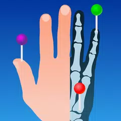 IMAIOS e-Anatomy XAPK download