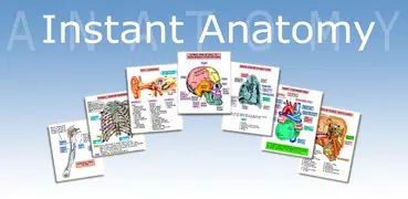 Anatomy Lectures