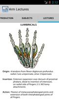 Limb Lectures in Anatomy poster
