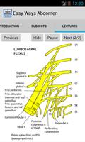 Easy Ways Abdomen and Thorax-poster