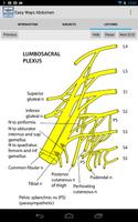 Easy Ways Abdomen and Thorax screenshot 2