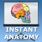 Head and Neck Lectures icon