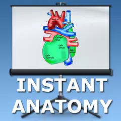 Anatomy Lectures - the heart APK 下載