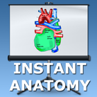 Anatomy Lectures أيقونة