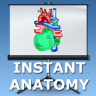 Icona Anatomy Lectures