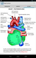 Anatomy Lectures スクリーンショット 2