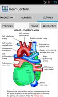 Anatomy Lectures poster