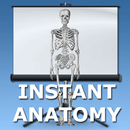 Topics in Focus APK