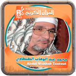 الشيخ الطنطاوى القرءان الكريم