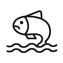 조은육회생연어 APK