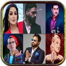 2026 آهنگ های افغانی APK