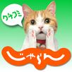 Jalan Japan Tourist Guide APK