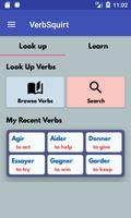 VerbSquirt French Verbs - FULL Affiche