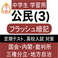 中学 社会 公民 フラッシュ暗記3 中3 定期試験 高校入試