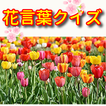 花言葉クイズ & 花図鑑（写真付き）　いろんな花の花言葉に関するクイズアプリ。辞典にもなるよ