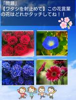 花言葉クイズ & 花図鑑（写真付き）　いろんな花の花言葉に関するクイズアプリ。辞典にもなるよ Screenshot 1