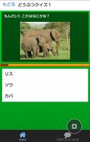 動物クイズ どうぶつな～に？写真編 تصوير الشاشة 1