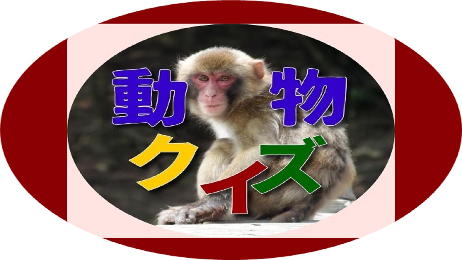 大人向け 動物 面白クイズ 改訂版 For Android Apk Download