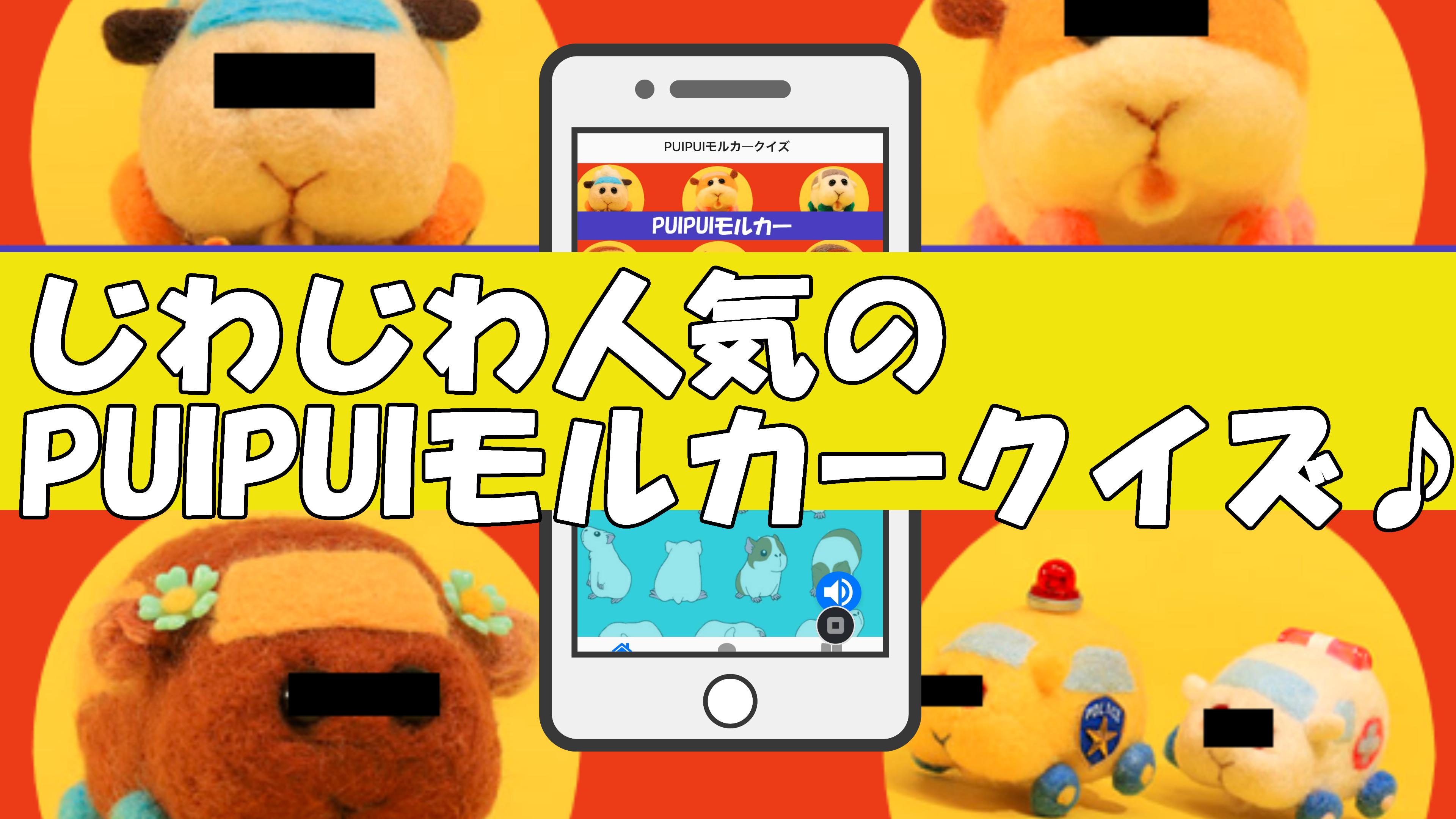 クイズfor Pui Pui モルカー モル化に注意 もふもふ可愛い癒し系パペットアニメのクイズ For Android Apk Download