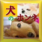 犬のホンネ icône