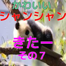 パンダの子供（シャンシャン）動画07 APK