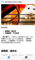 ハムスター病気チェック～育成×飼育×小動物×餌×健康～ скриншот 1
