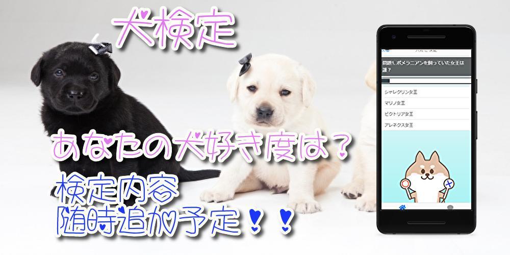犬のゲーム 犬の気持ち クイズ検定 無料アプリ For Android Apk Download 犬のゲーム 犬の気持ち クイズ検定 無料アプリ For Android Apk Download