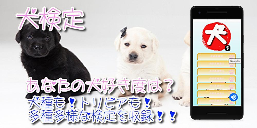 犬のゲーム 無料 犬 言葉が知りたい 犬の気持ち 雑学クイズ For Android Apk Download 犬のゲーム 無料 犬 言葉が知りたい 犬の気持ち 雑学クイズ For Android Apk Download
